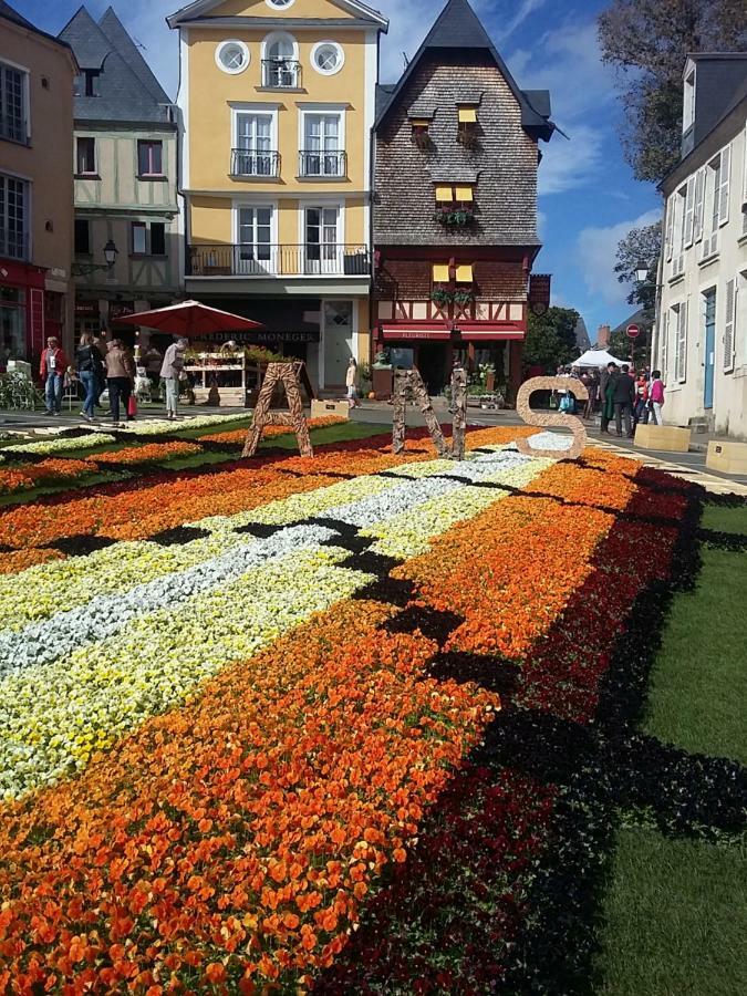 Logis Louisblanc, Muraille Romaine, Lit Queen-Size, Centre Ville 르망 외부 사진